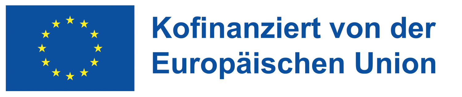 European Social Fund Plus